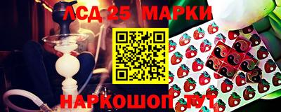 гашик Бузулук
