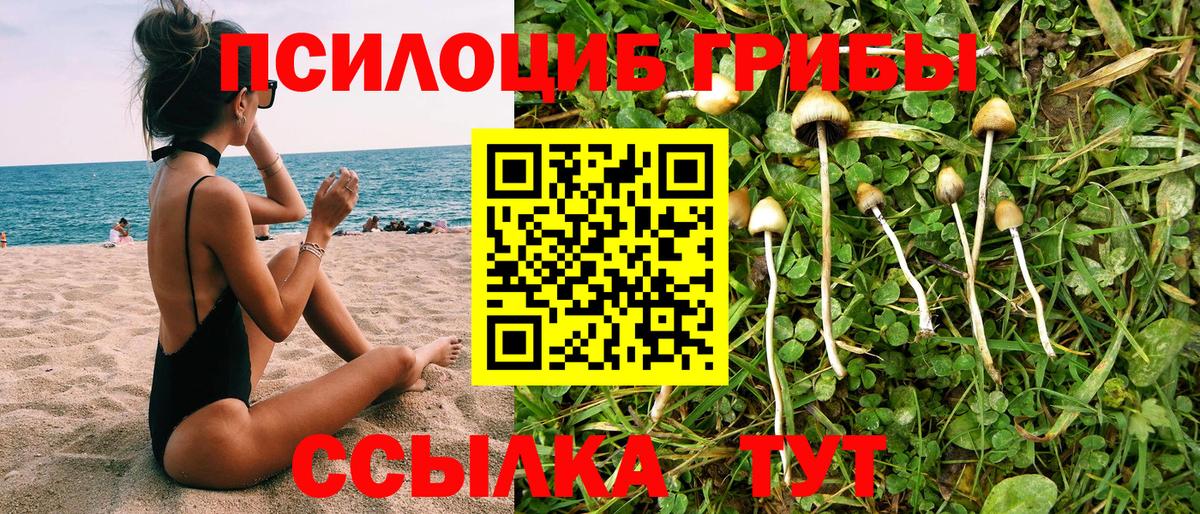 Псилоцибиновые грибы Cubensis  Вход с VPN  Псилоцибиновые грибы Psilocybine cubensis  Ливны 